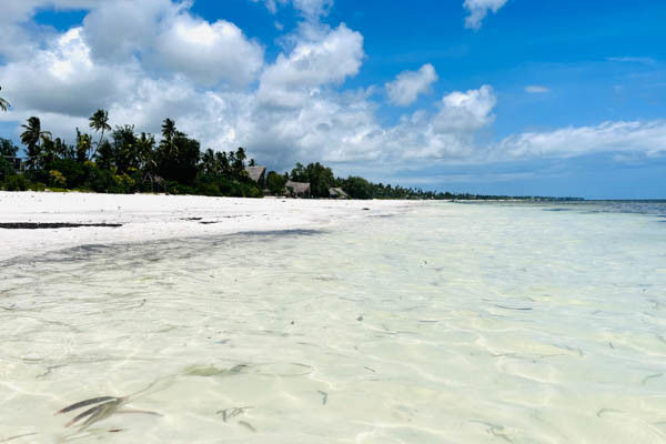 Palumbo Mnemba View Resort 2
