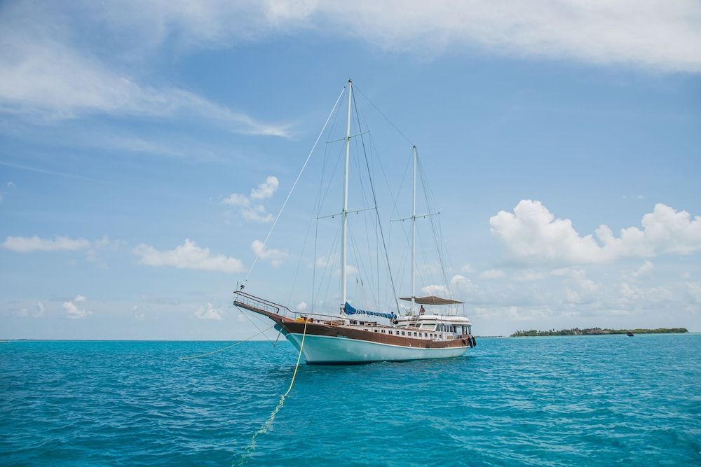 Akoya Pearl 1