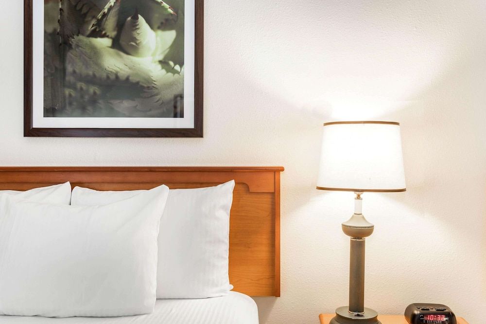 Baymont by Wyndham Orlando South 1