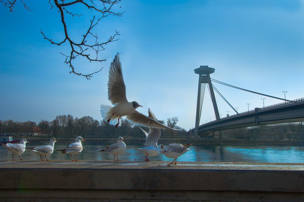 Safestay Bratislava Presidential Palace 1