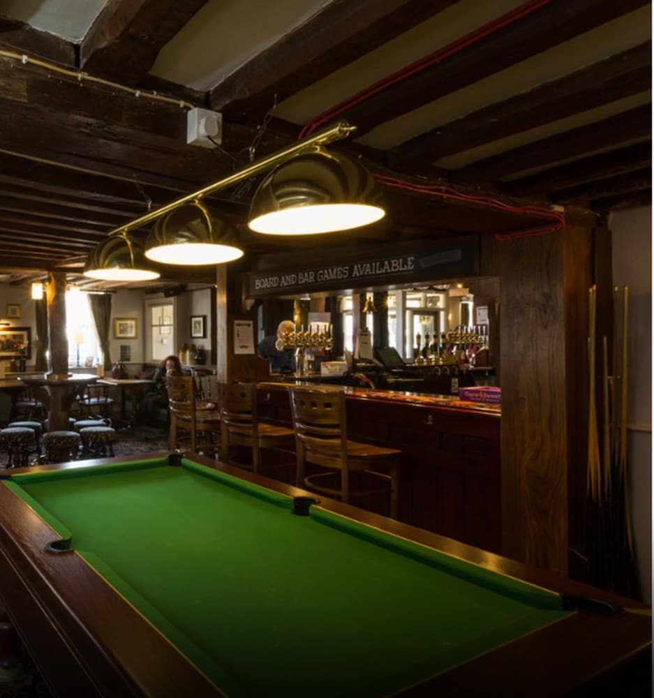 The Dog & Bear Hotel 2