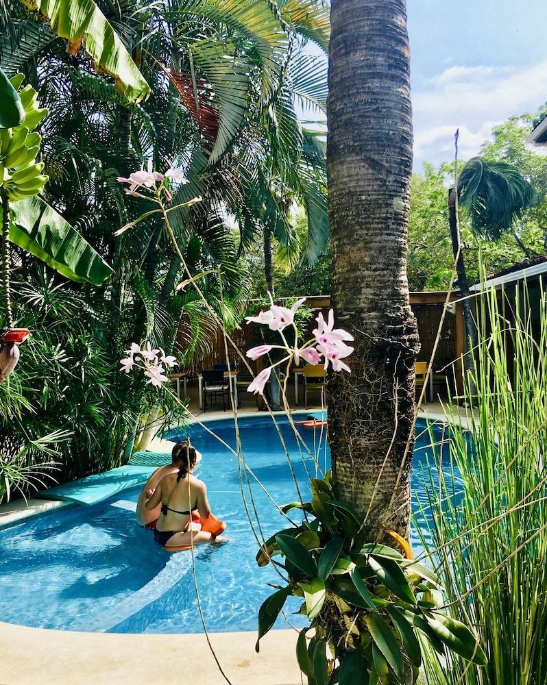 Ten North Tamarindo Beach Hotel 1