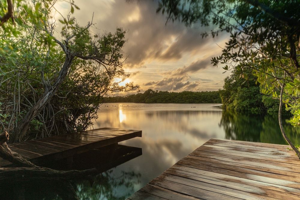 Yaxchen Tulum Cabañas & Cenote 1