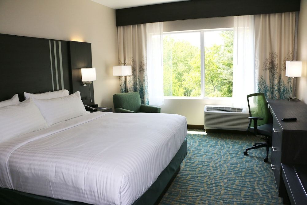 Holiday Inn Express & Suites HENDERSONVILLE SE - FLAT ROCK by IHG 2