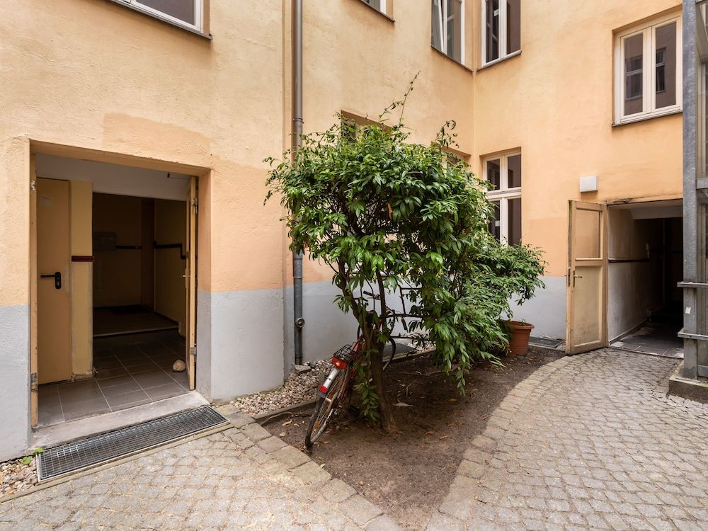 Numa Berlin Kater 2