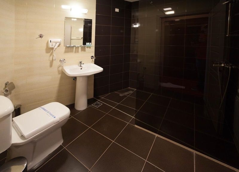 Hotel Lebed 1