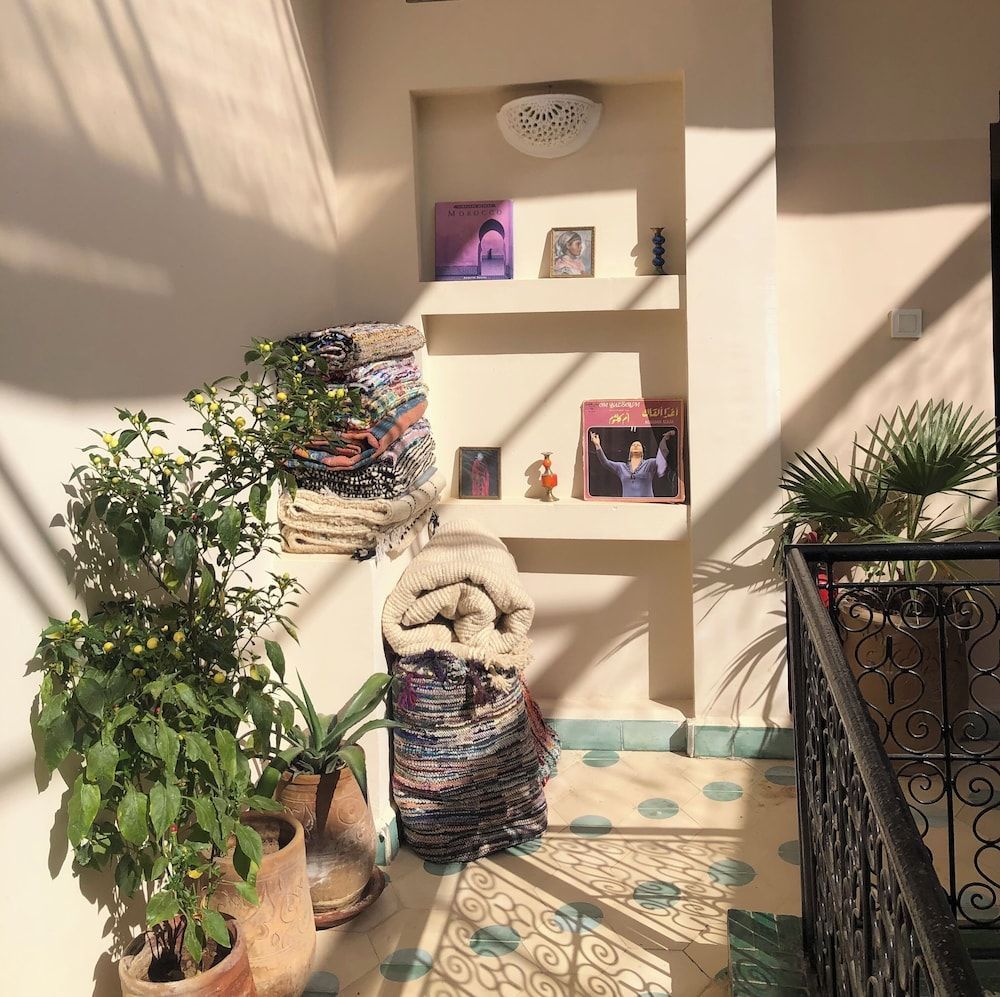 Riad Imndi 2