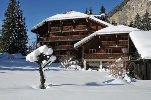 Hotel Les Lans 1