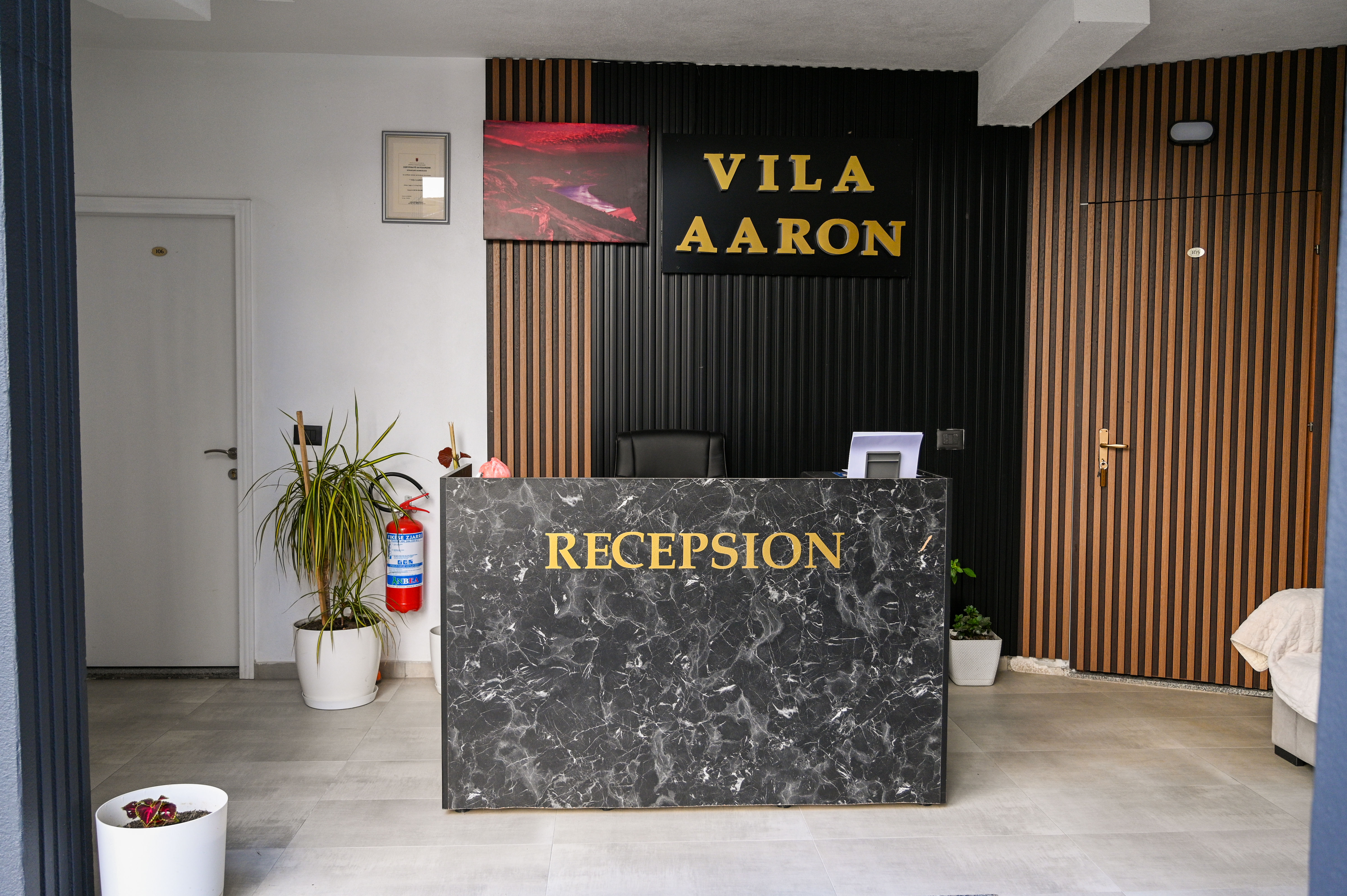 Hotel Vila Aaron 2