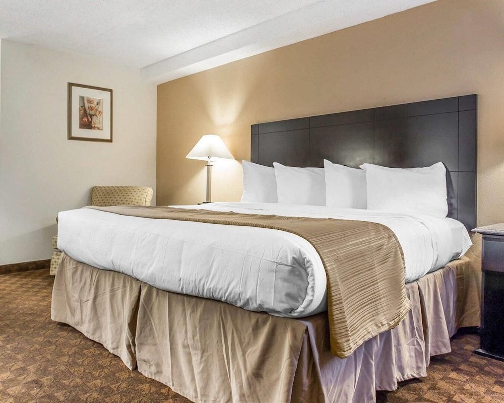 Quality Inn & Suites Coliseum 1
