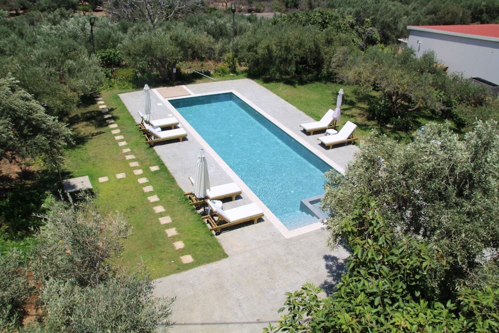 olive view 1