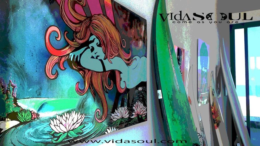 Vidasoul 2