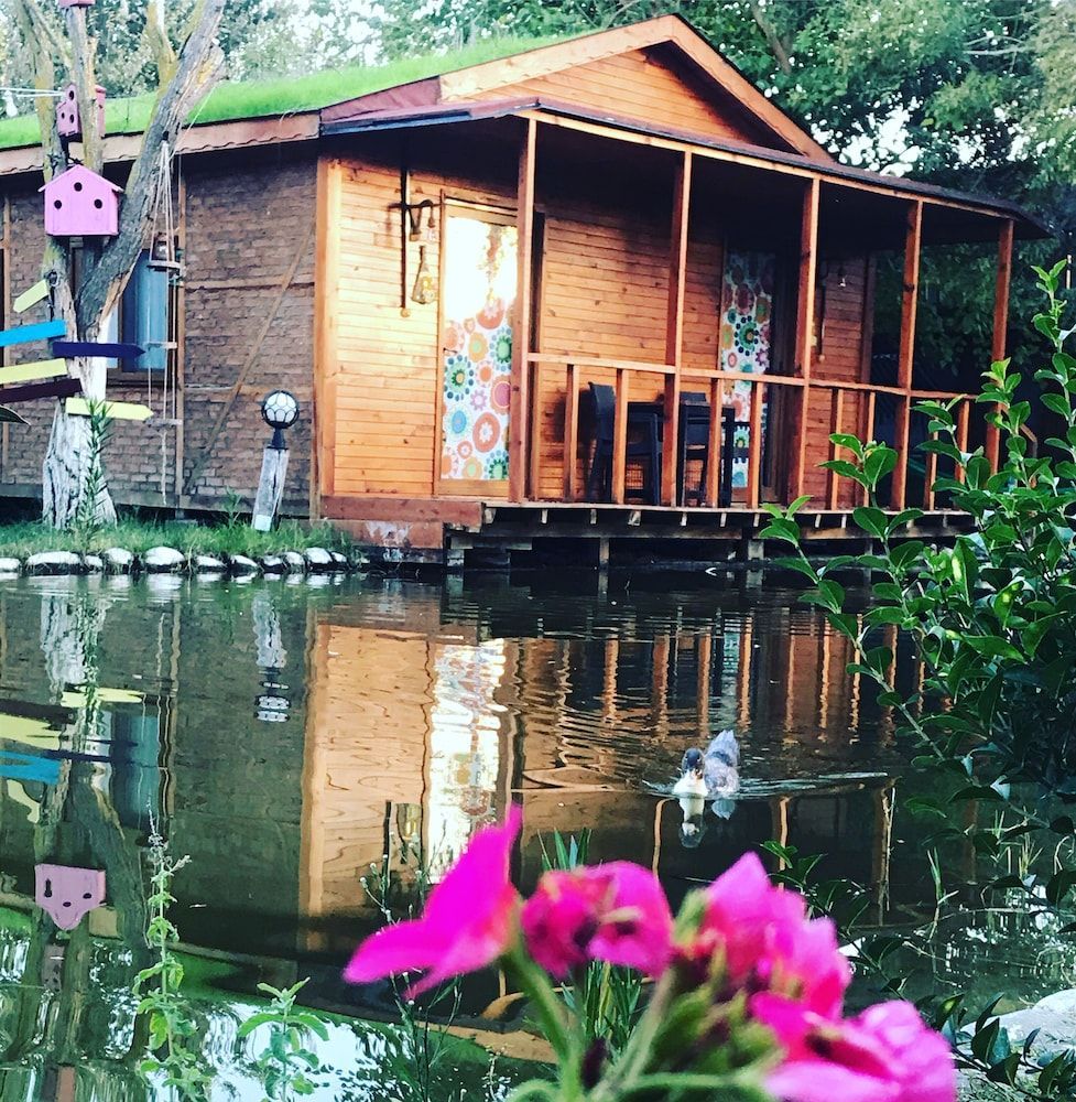 Dalamankusten, Turkos kust