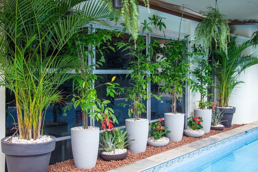 Prestige Manaus Hotel 1