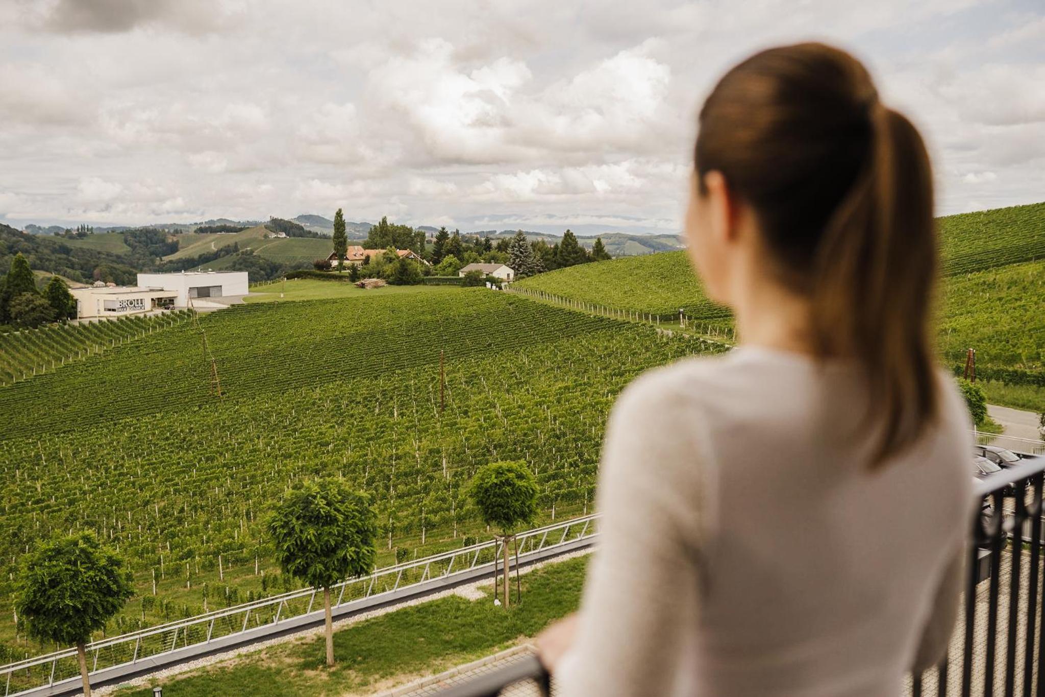 Weinrefugium Brolli 2