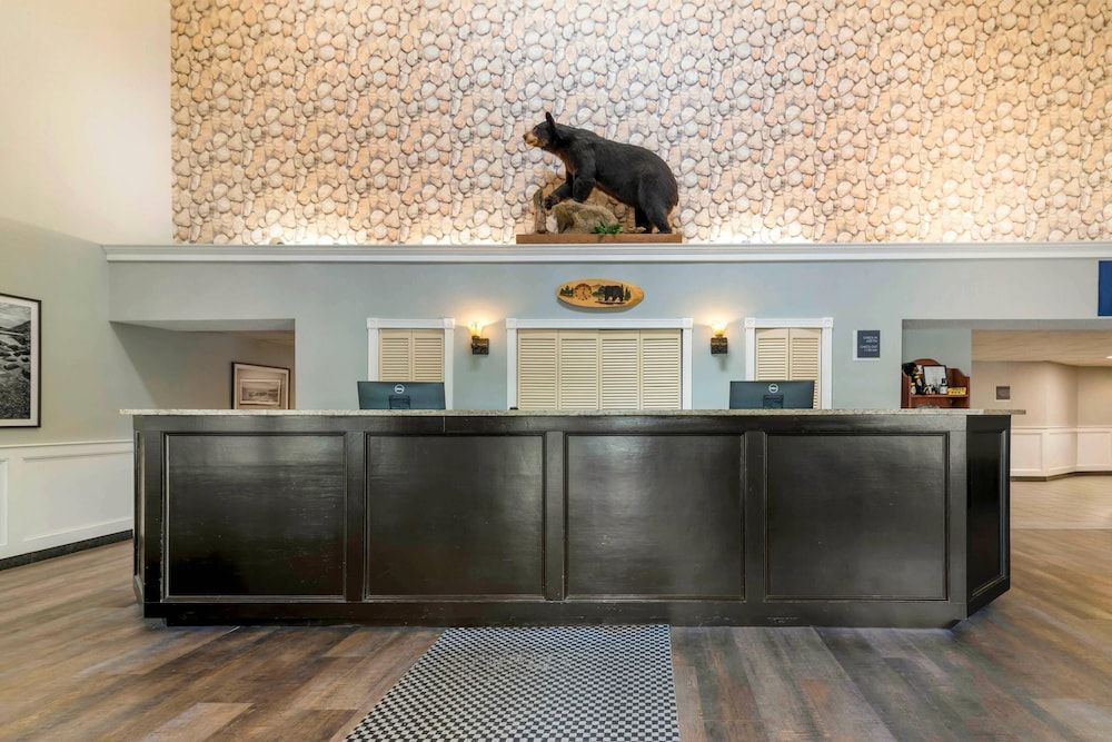 Black Bear Inn, an Ascend Collection Hotel 2