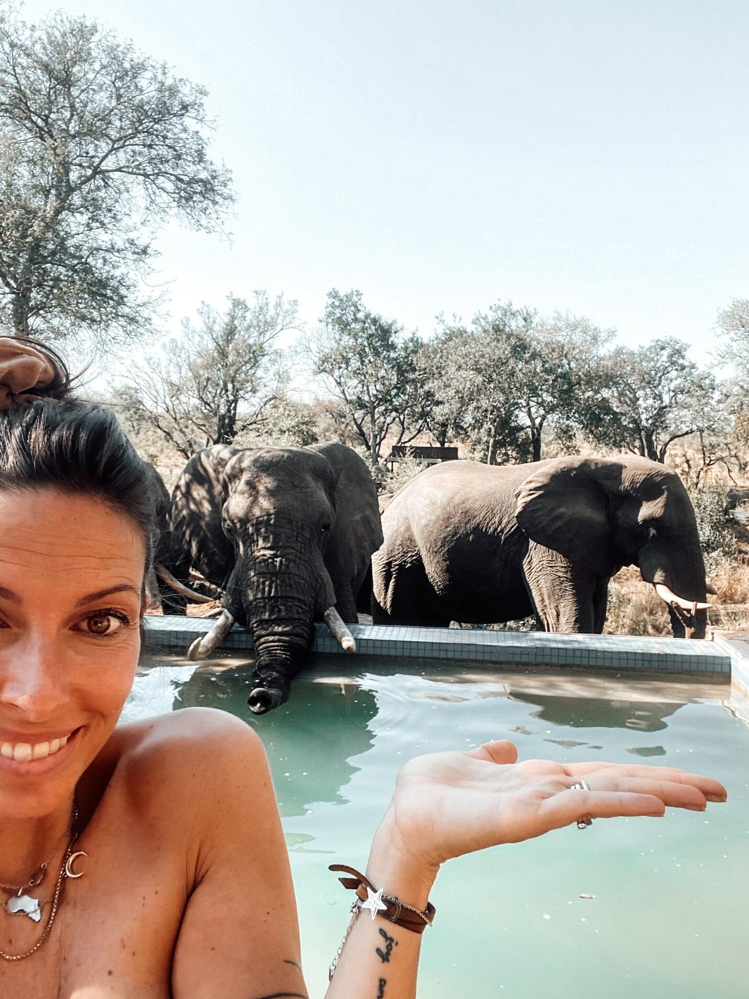 Honeyguide Tented Safari Camp - Khoka Moya 2