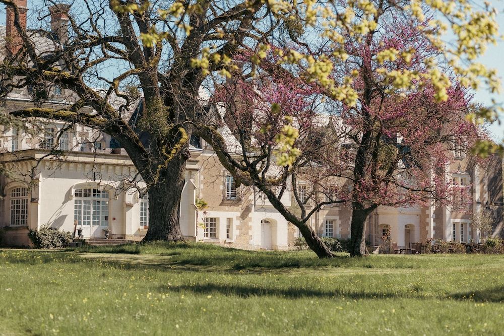 Château De Razay 1