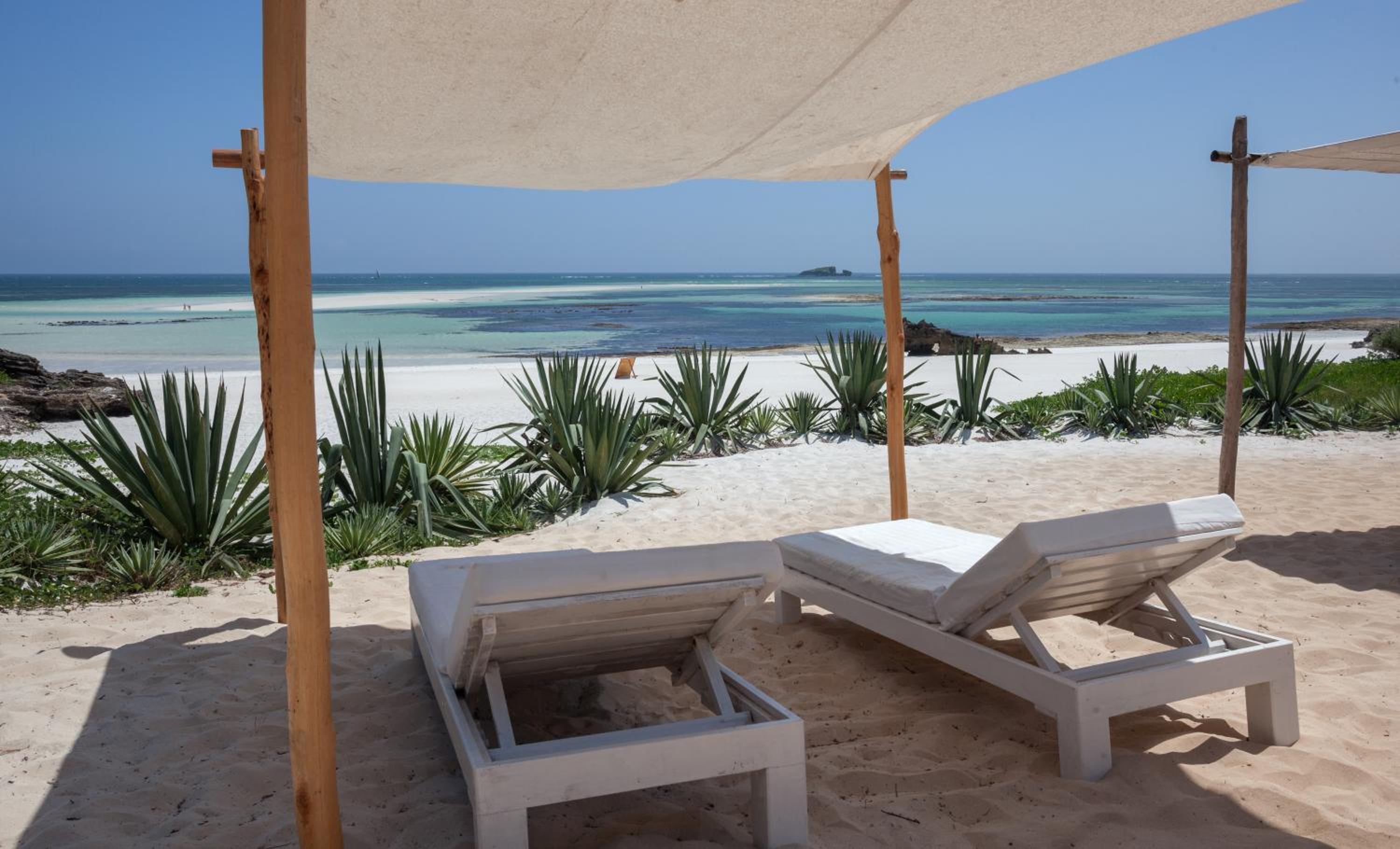 Gecko Resort 1