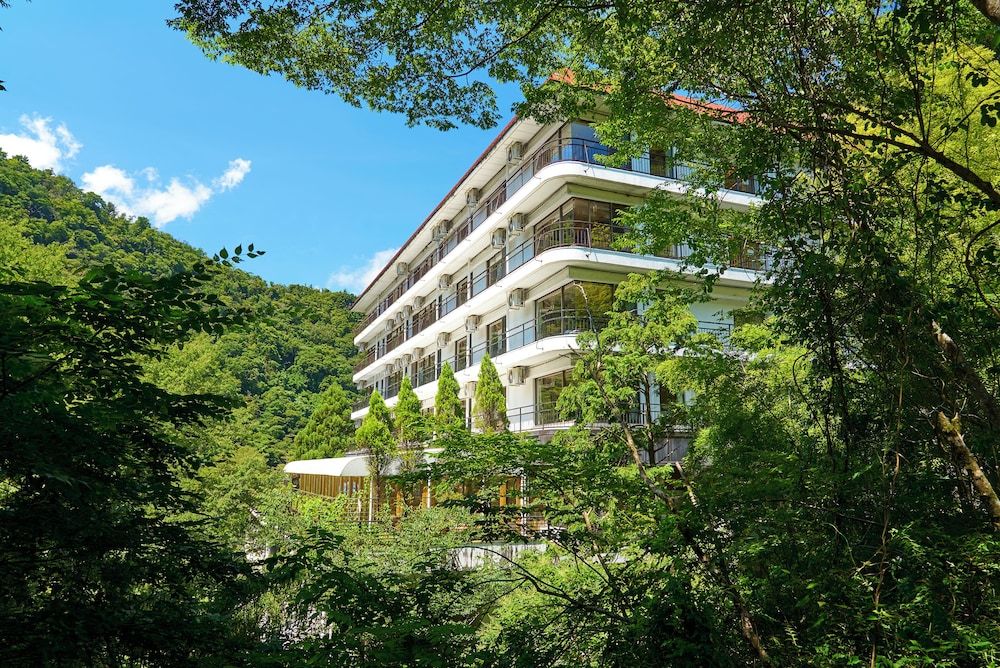 Hakone Yumoto Hotel 1