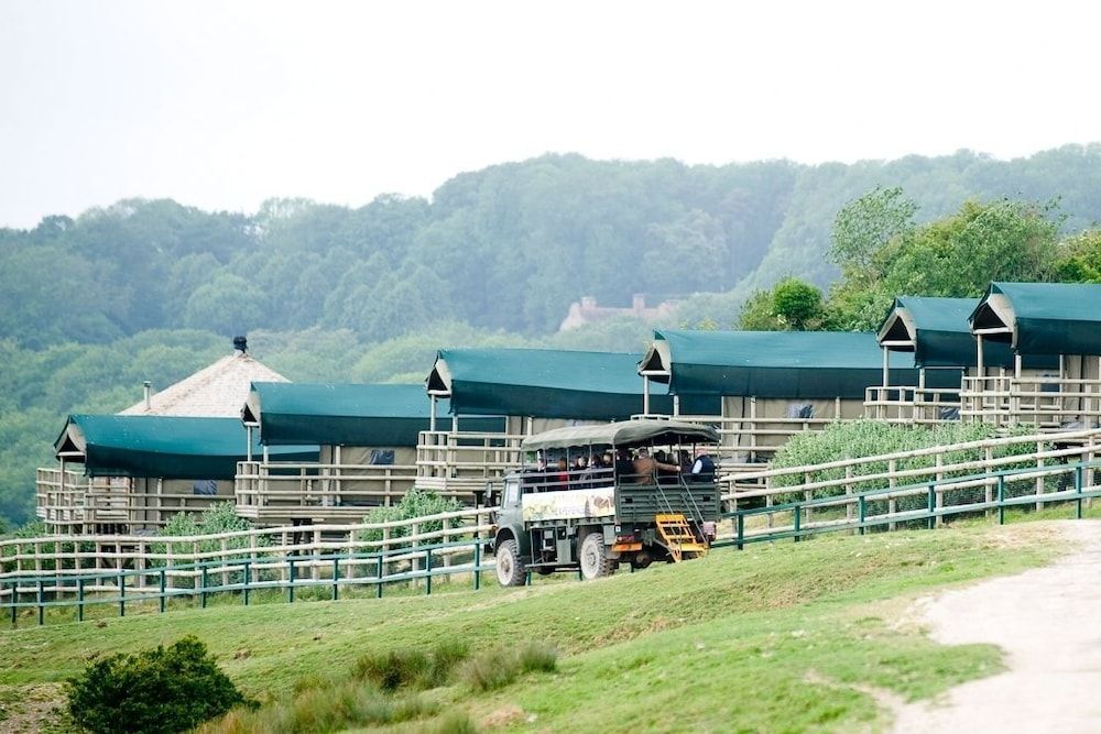 Port Lympne Reserve - Livingstone Lodge 1
