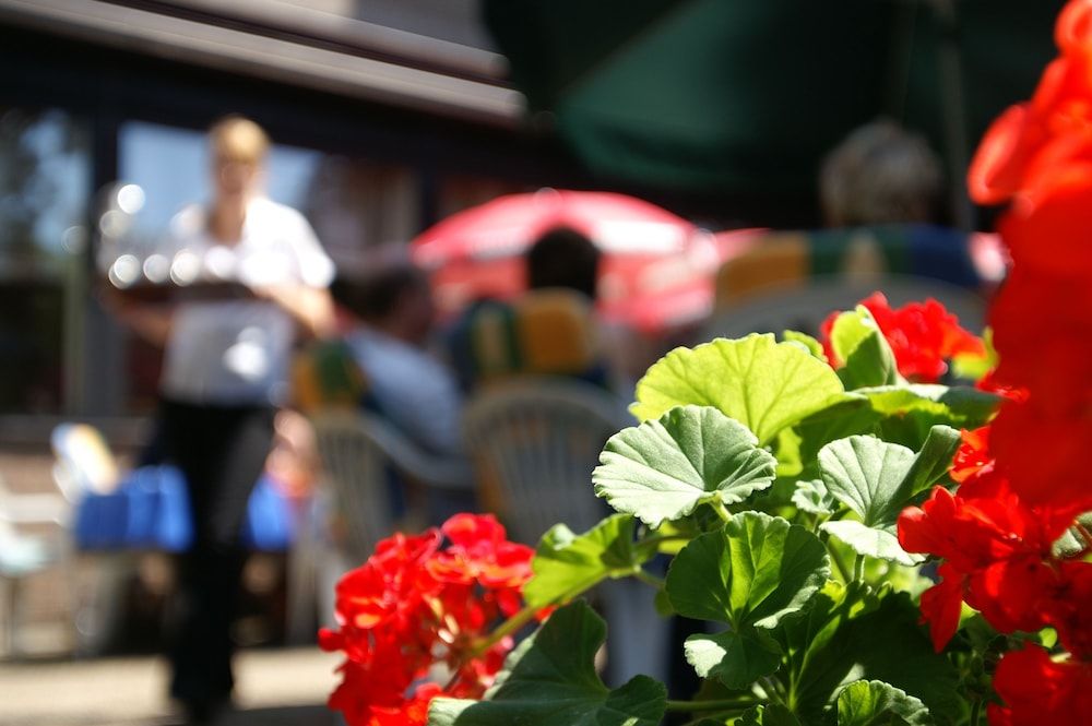 Hotel Buschhausen 2