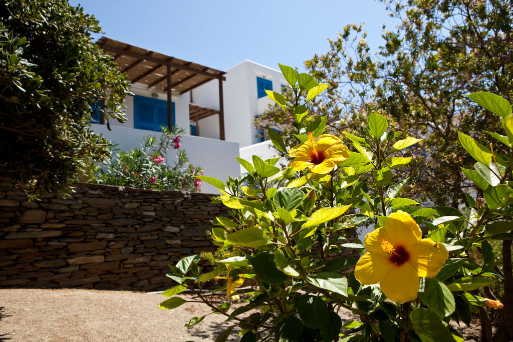 Alexandros Hotel 1