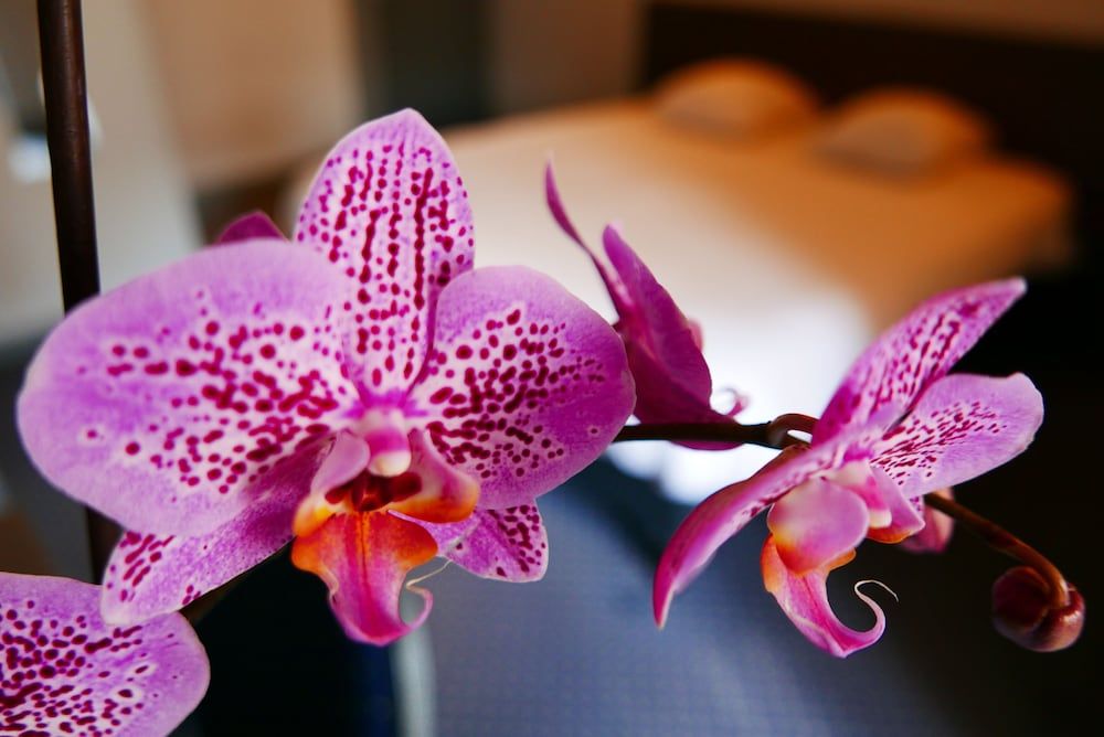 Hotel de Normandie 2