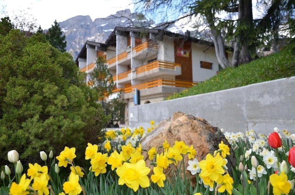 Hotel Alex 1