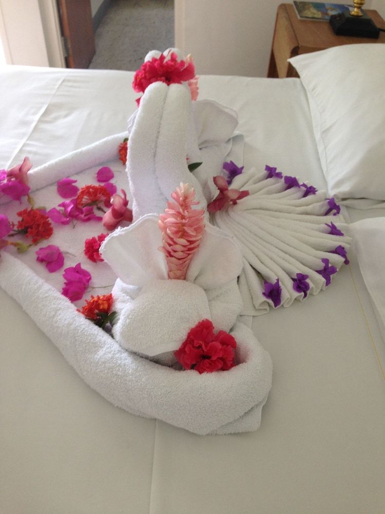 Palm View Guesthouse and Conference Centre 2