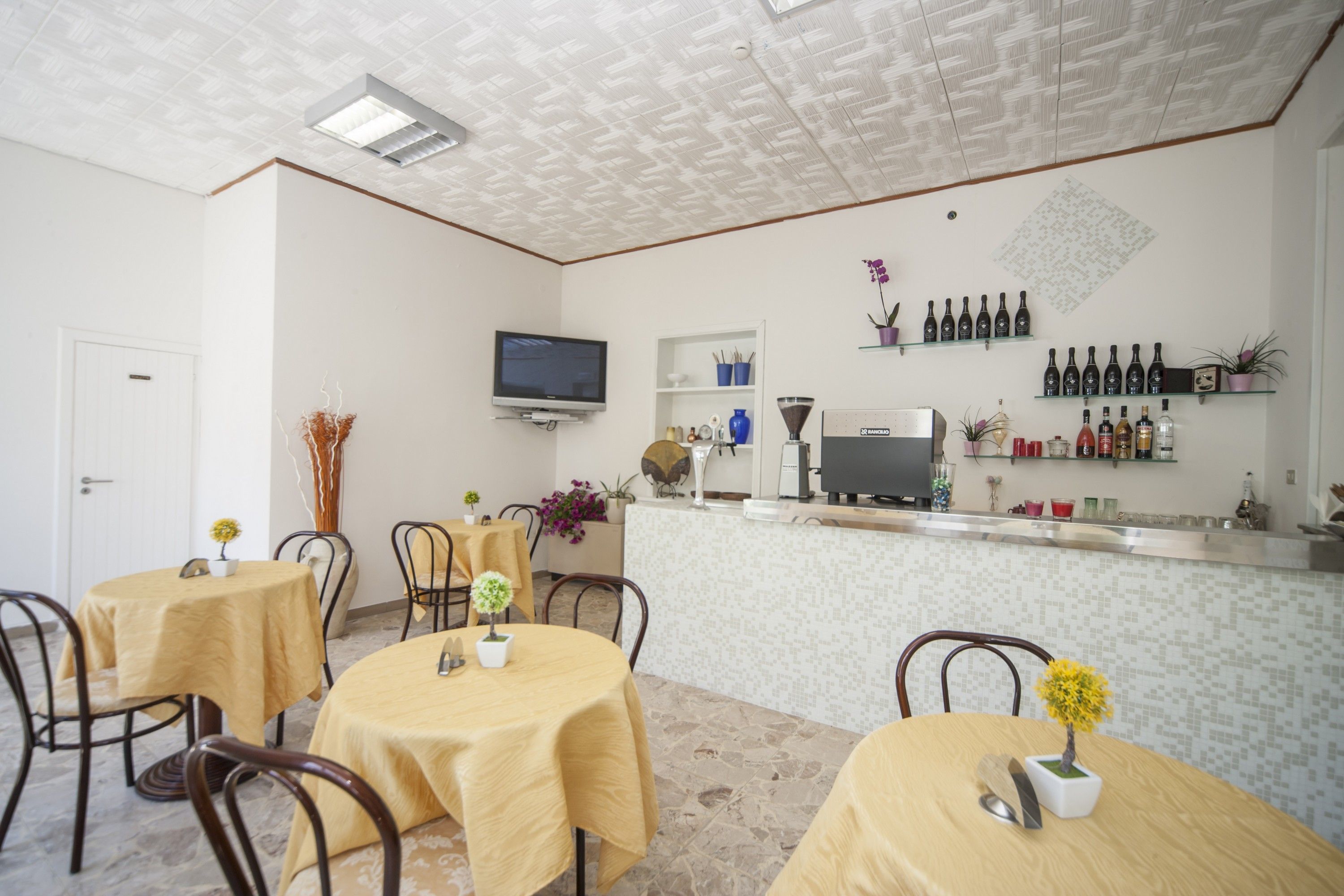 T Hotel- Adults Only, Pet Free Hotel 2