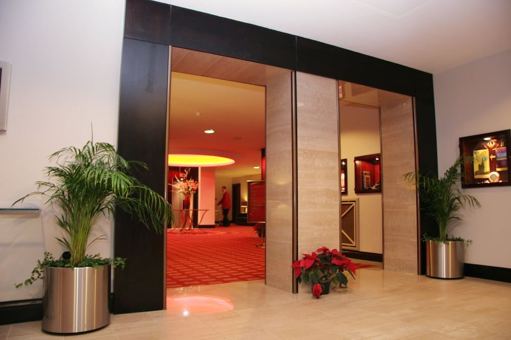 The Dragon Hotel 2