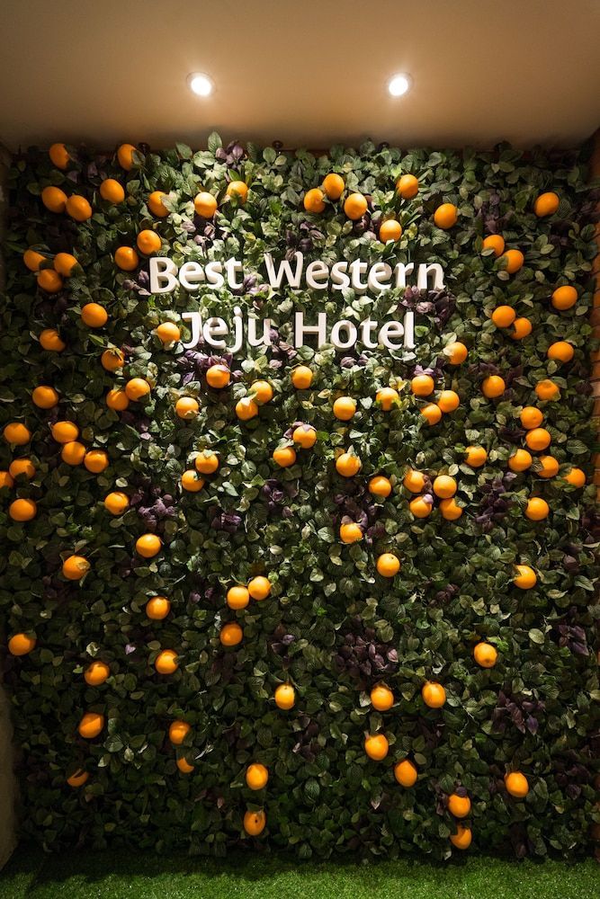 Best Western Jeju Hotel 2