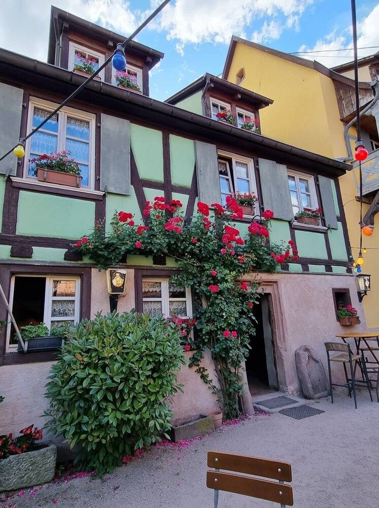 Maison Gambrinus 1
