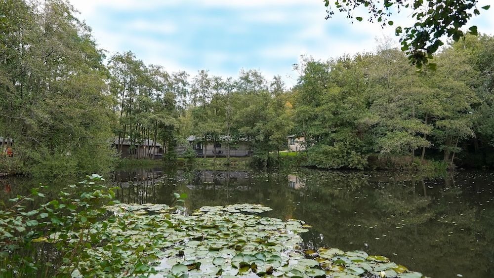 Warren Wood Country Park 1
