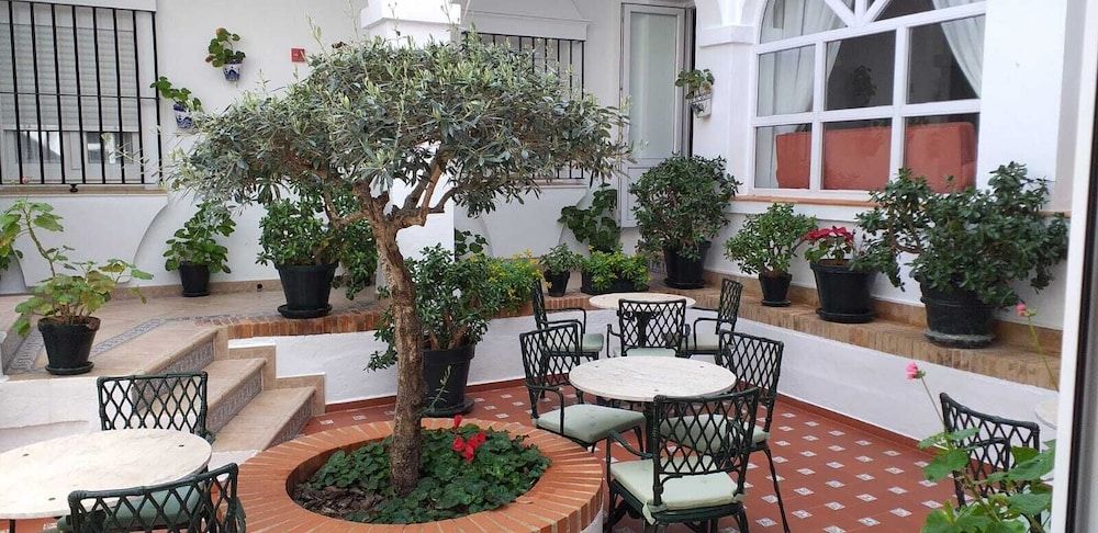 Hotel Los Olivos 1
