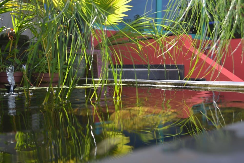 Piton Bungalows Ecolodges 2