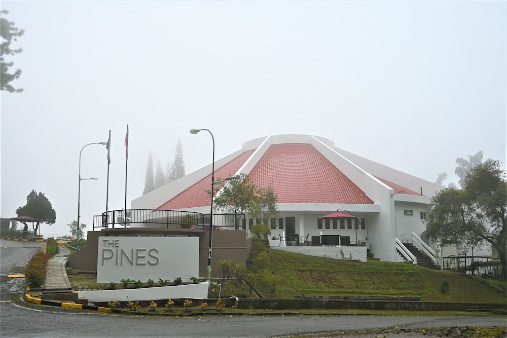 The Pines 1