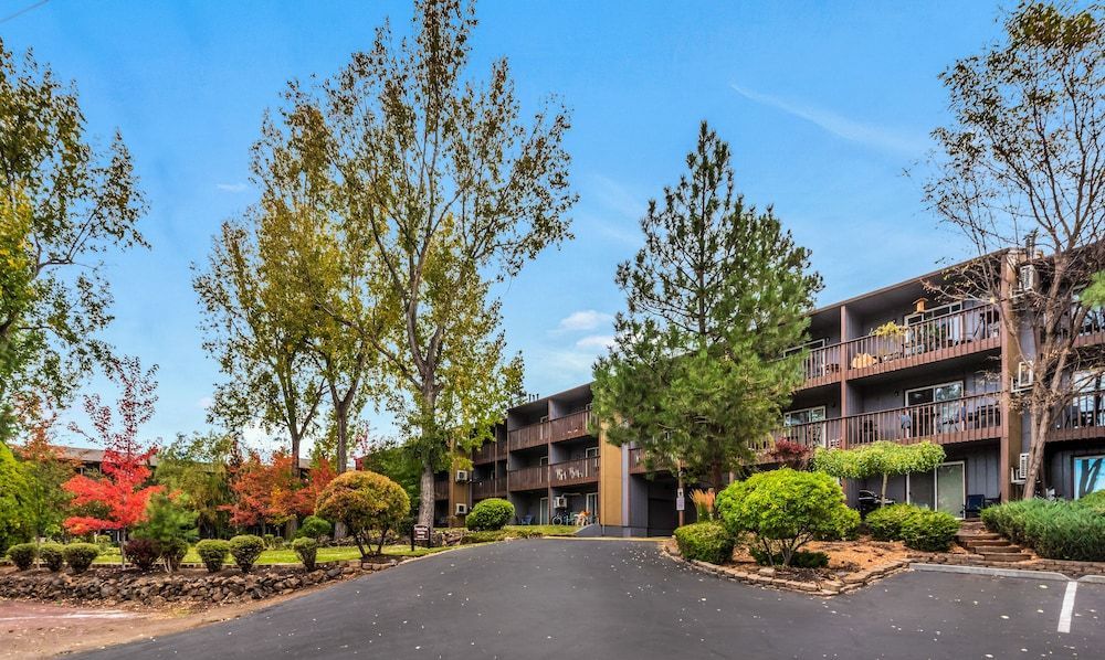 Pioneer Park Rentals 1