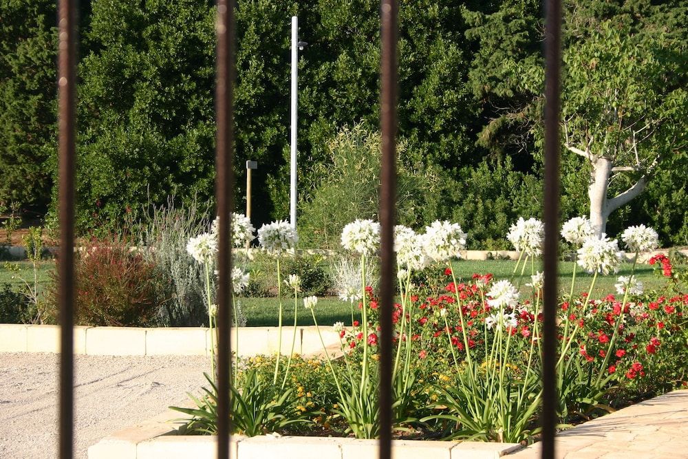 Tenuta Vigna Corallo - Dalia 1