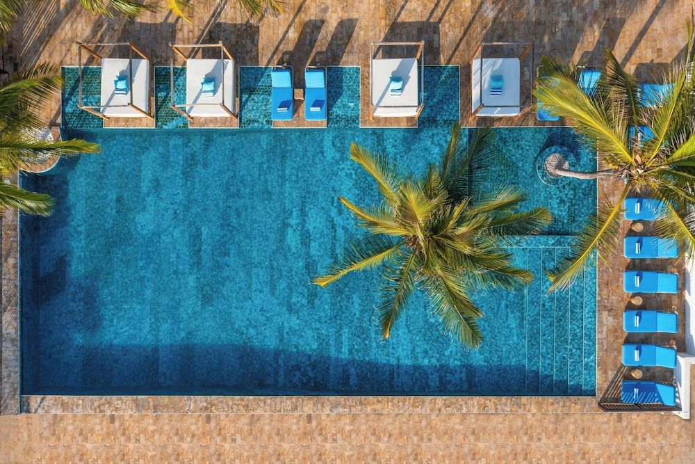 Le Mersenne Zanzibar, Autograph Collection 1