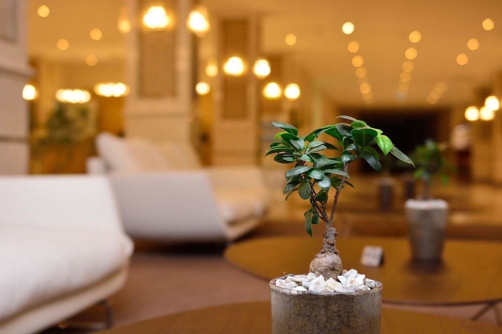 The Grand Gloria Hotel 2