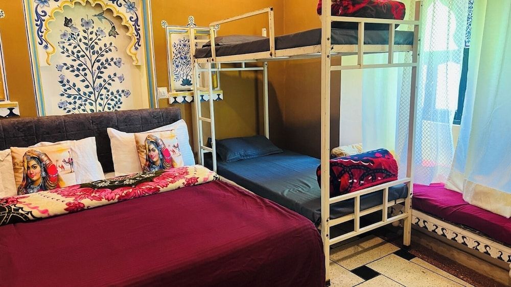 Mild Life Hostel Udaipur 2