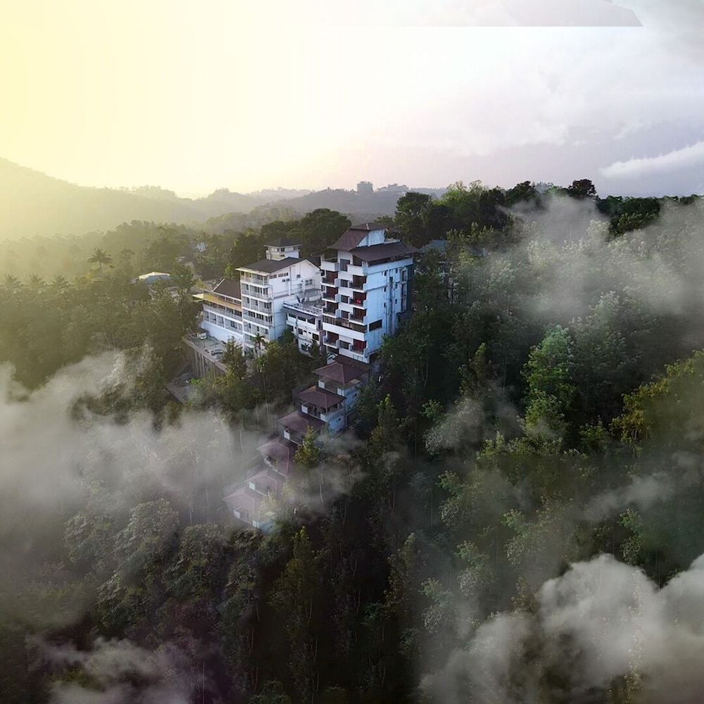 The View Munnar 1