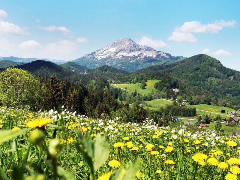 JUFA Hotel Annaberg 2