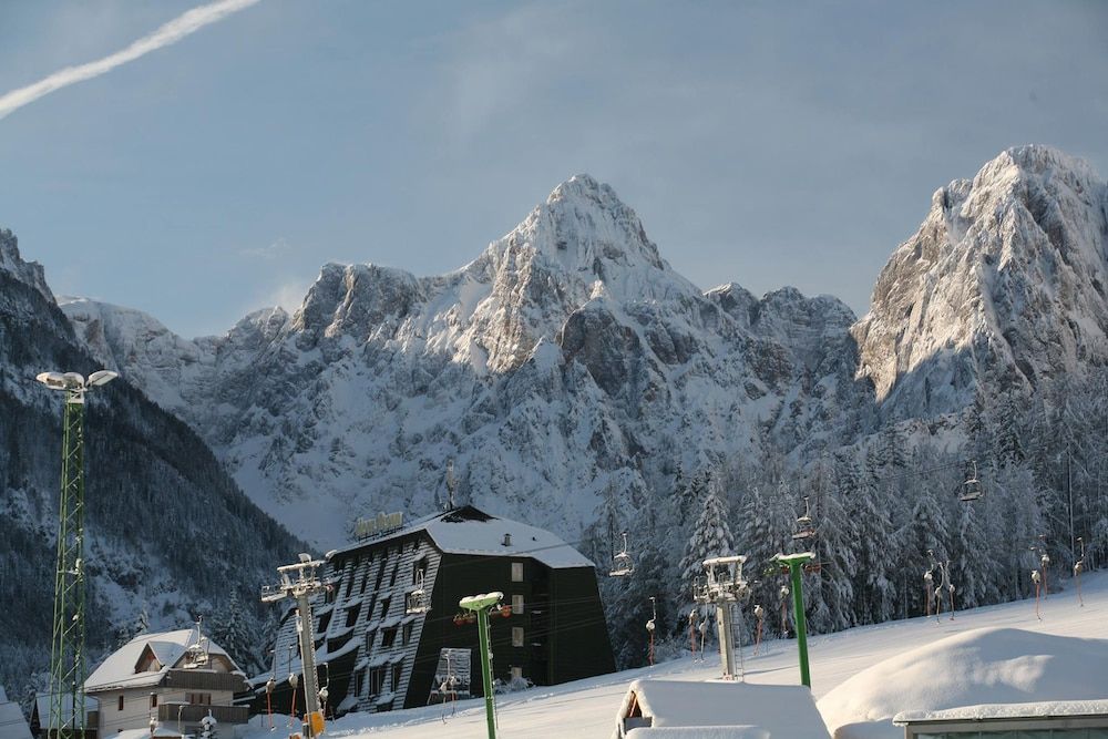 Hotel Alpina 1