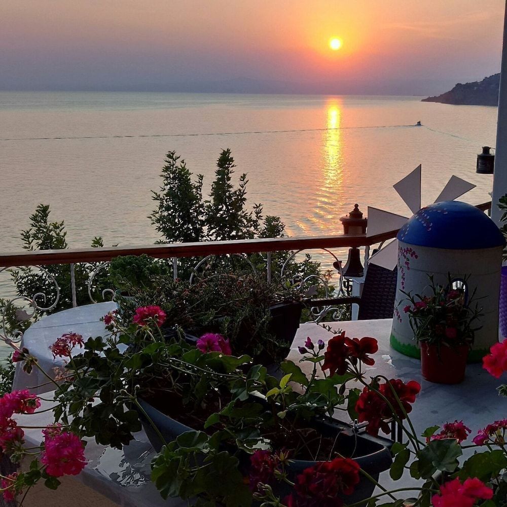 Hotel Mola 1