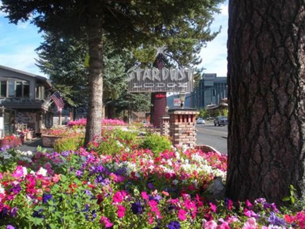 Stardust Lodge 1