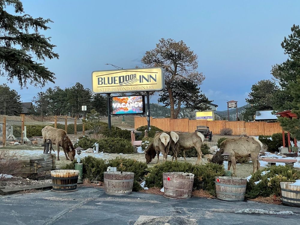 Blue Door Inn 1