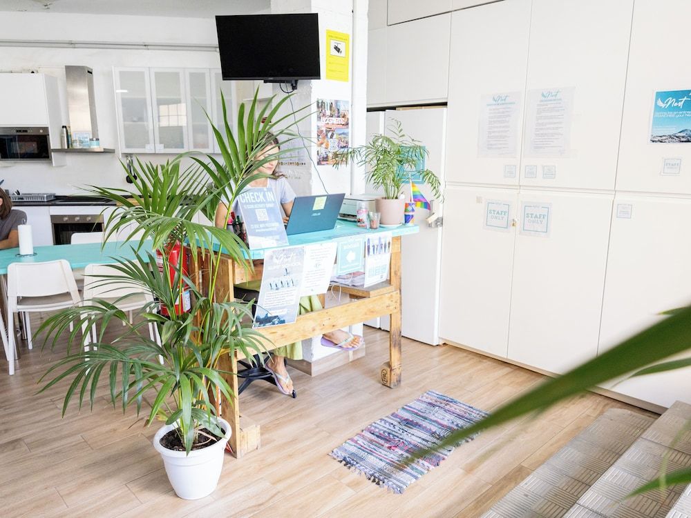 Medano Nest Hostel 1
